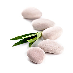 Image showing green leaf and stones