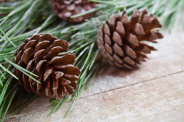 Image showing christmas fir tree with pinecones