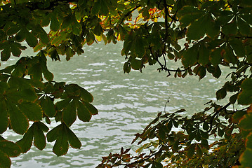 Image showing Water in window leaves.