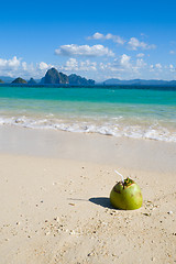 Image showing Coconut drink on tropical beach