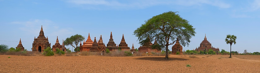 Image showing Buddhist Temples in Bagan, panorama