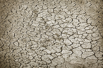 Image showing Cracked earth in dry season