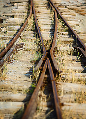 Image showing Switch on the old narrow-gauge railway