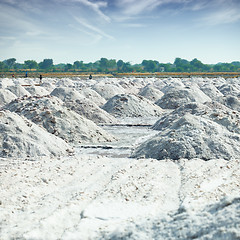 Image showing Place of salt production in India