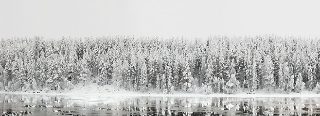 Image showing Winter landscape. Forest panorama with reflection in the river