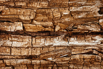 Image showing Completely rotted wood