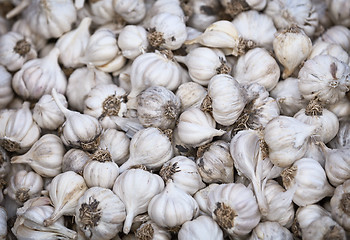 Image showing Garlic on the counter of eastern market