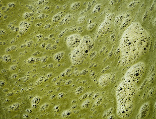 Image showing Green scum on the surface of dirty water