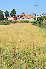 Image showing Chinese countryside 