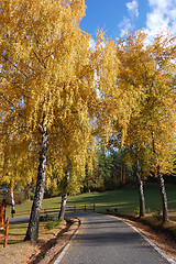 Image showing Autumn