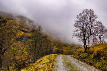 Image showing Mountain road in rain