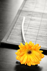 Image showing Flower on Table