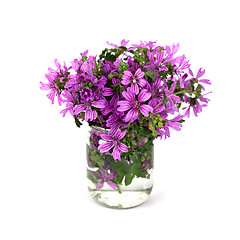 Image showing wild violet flowers in glass jar