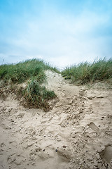 Image showing Dune landscape