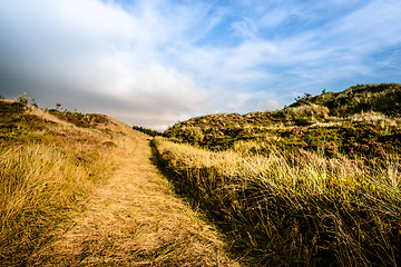 Image showing Road in nature