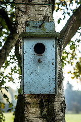 Image showing Bird house