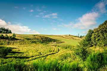 Image showing Green fields