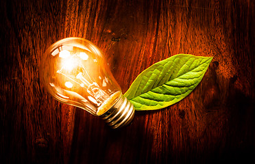 Image showing Light bulb with a leaf