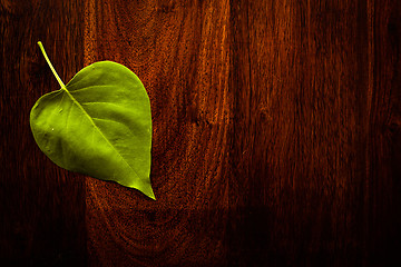 Image showing Leaf on wood