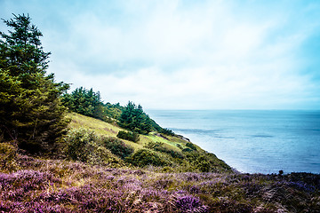 Image showing Nature landscape