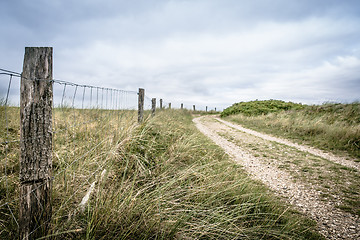 Image showing Road in nature