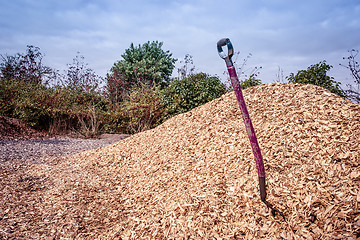 Image showing Shovel in mulch