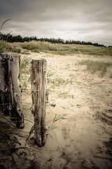 Image showing Dunes at the beach