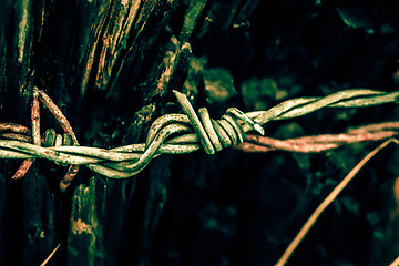 Image showing Barb wire