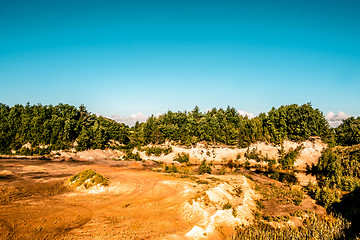 Image showing Canyon and trees