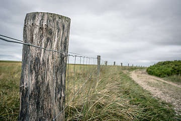 Image showing Road in nature