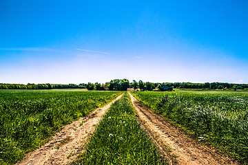 Image showing Countryside road