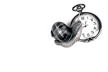 Image showing Snail and time