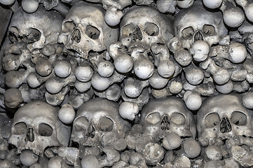 Image showing Human bones.