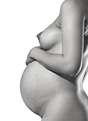 Image showing part of pregnant body isolated