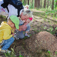 Image showing The boy and the girl with the grandmother look at an ant hill