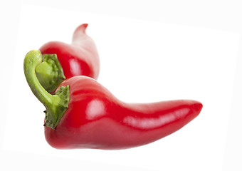 Image showing Hot jalapeno peppers