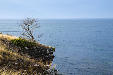 Image showing Steep at coast