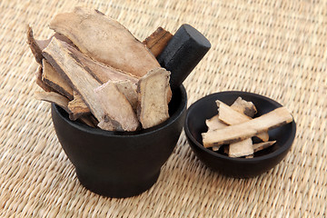 Image showing White Peony Root