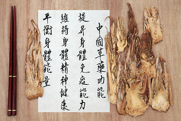 Image showing Angelica Root