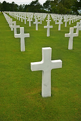 Image showing Normandy American Cemetery 