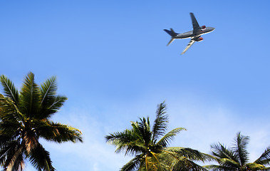 Image showing palm and airplane 