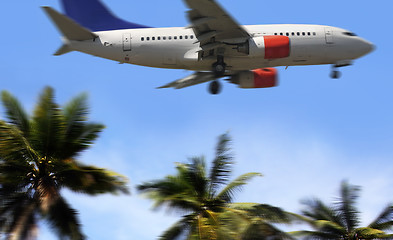 Image showing palm and airplane 