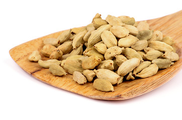 Image showing Cardamom