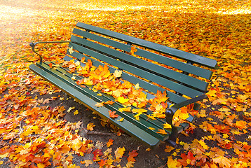 Image showing vacant park bench in autumn