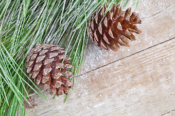 Image showing christmas fir tree with pinecones 