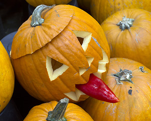 Image showing Pumpkin