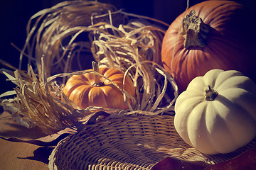 Image showing Thanksgiving Background with Pumpkins. Retro card