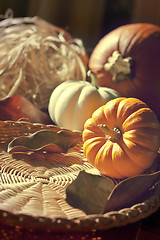 Image showing Thanksgiving Background with Pumpkins. Retro card