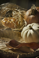 Image showing Thanksgiving Background with Pumpkins. Retro card