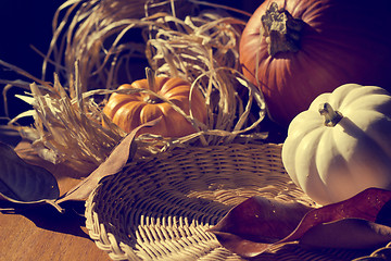 Image showing Thanksgiving Background with Pumpkins. Retro card